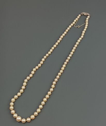 Fallen cultured pearl necklace, white gold...