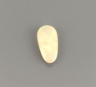 Opale d'Éthiopie taille cabochon
Poids :...