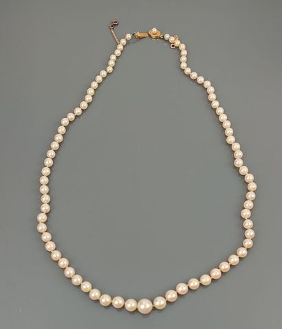 Necklace composed of tumbling cultured pearls,...