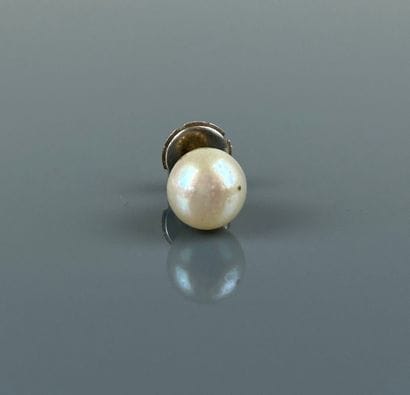 One cultured pearl earring, platinum clasp.
Gross...