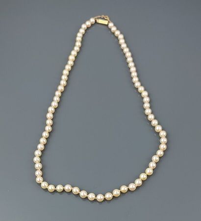 Collier de perles de culture choker, fermoir...