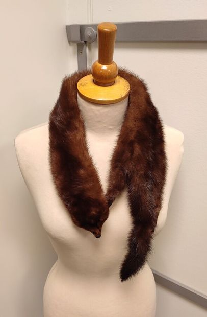 Manteau de fourrure en vison marron, se ferme...