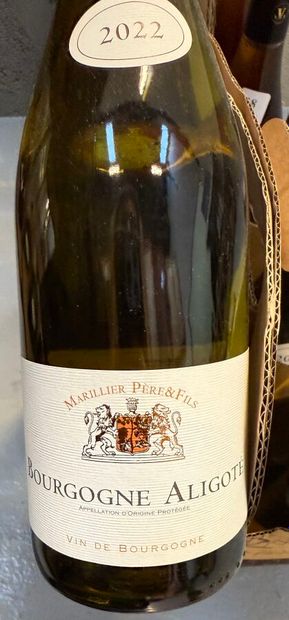 Ensemble de 37 bouteilles de vins blancs...