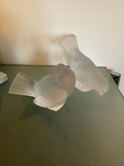 LALIQUE France
Deux oiseaux en cristal moulé-pressé...