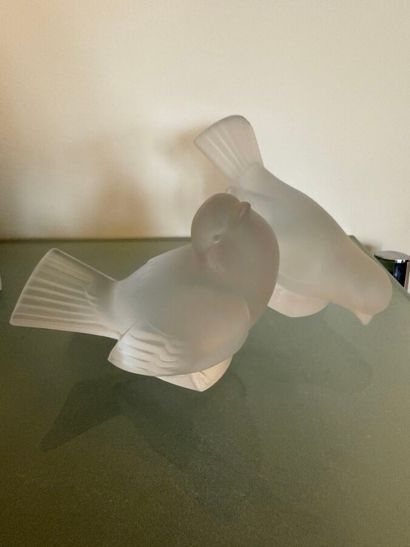 LALIQUE France
Deux oiseaux en cristal moulé-pressé...