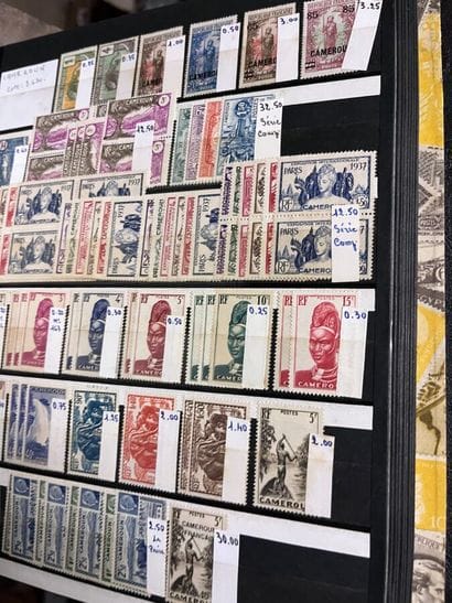 31 Classeurs Colonies françaises : Timbres...