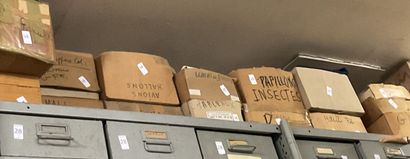 44 cartons + vrac Monde + Thématique : Important...
