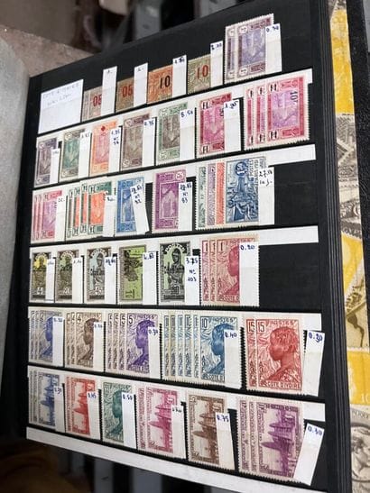 31 Classeurs Colonies françaises : Timbres...
