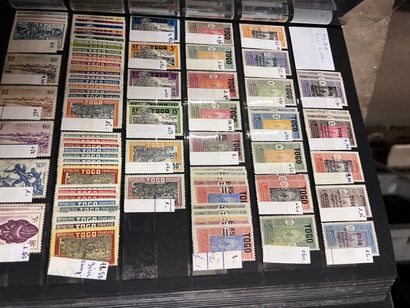 31 Classeurs Colonies françaises : Timbres...