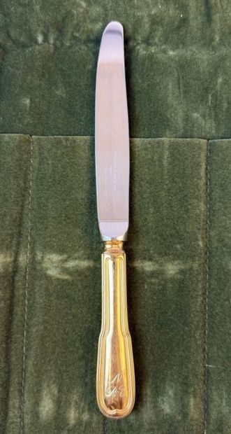 CHRISTOFLE 
12 filet knives with 925°/°°...