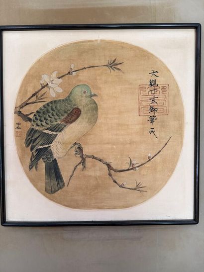CHINA 20th century, after Song Huizong
Pigeon...