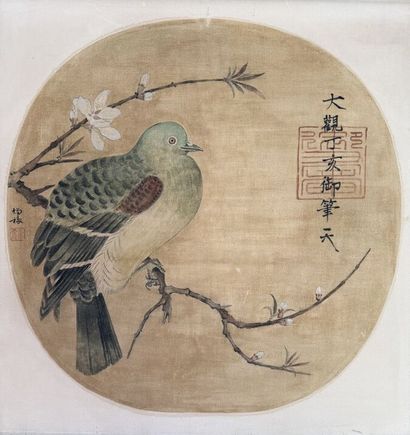 CHINA 20th century, after Song Huizong
Pigeon...