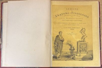 Dott. alberto GAMBA
Lezioni di Anatomo Fisiologia
1...
