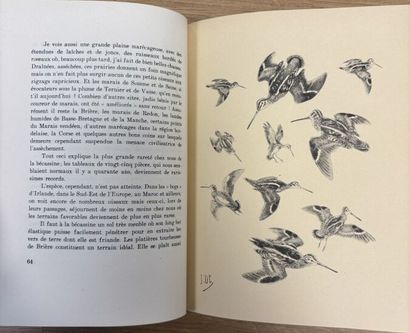 LOT DE LIVRES SUR LA CHASSE 
Joseph OBERTHUR
Chasses...
