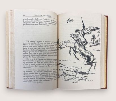 LOT DE LIVRES SUR LA CHASSE 
Joseph OBERTHUR
Chasses...