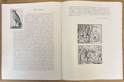 LOT DE LIVRES SUR LA CHASSE 
Joseph OBERTHUR
Chasses...