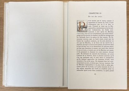 LOT DE LIVRES SUR LA CHASSE 
Joseph OBERTHUR
Chasses...