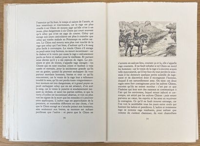 LOT DE LIVRES SUR LA CHASSE 
Joseph OBERTHUR
Chasses...