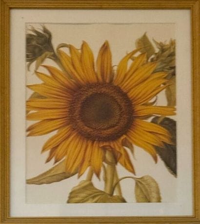 FERAT, 
Pierrot, 
Lithograph, 
Signed lower...