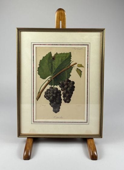 [FRAMED PIECES]
A collection of fourteen...