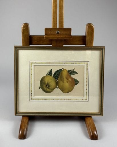 [FRAMED PIECES]
A collection of fourteen...