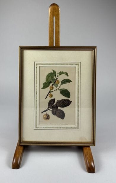 [FRAMED PIECES]
A collection of fourteen...