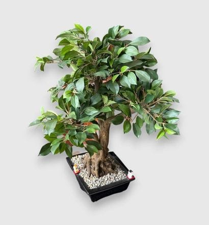 Plastic bonsai.
Height: 70 cm.

SALE AND...
