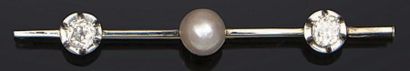 Broche barrette en or gris 18 K et platine,...
