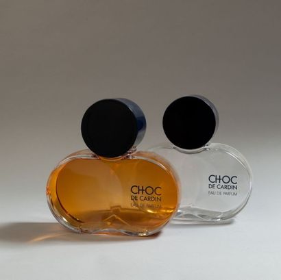 Pierre CARDIN 
