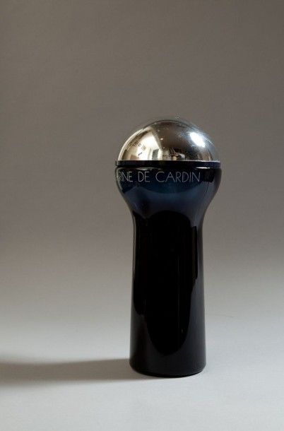 PIERRE CARDIN 