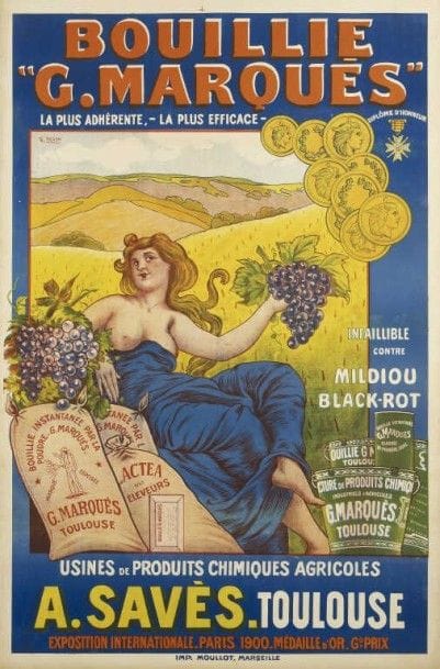TICHON Ch.BOUILLIE G. MARQUES imp. Moullot...