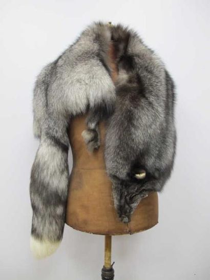 Peau de renard argenté
