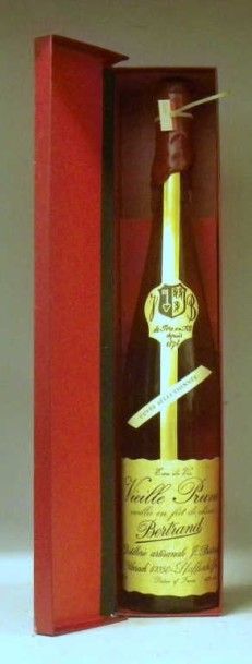 1 Magnum EAU DE VIE - VIEILLE PRUNE - Bertrand...