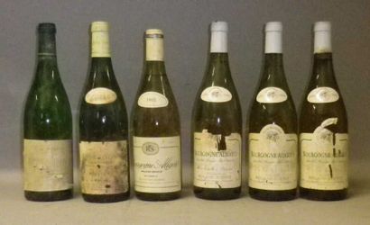 LOT DE 6 Bouteilles ASSORTIMENT DE VINS BLANCS...