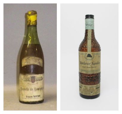 1 Bouteille PRUNELLE DE BOURGOGNE - Louis...