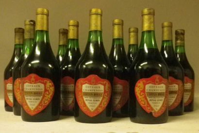 12 Bouteilles CÔTEAUX DE CHAMPENOIS - DUVAL...