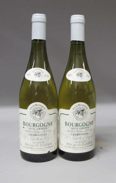 2 Bouteilles BOURGOGNE BLANC 