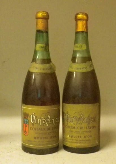 2 Bouteilles VIN D'ANJOU - Coteaux du Layon...