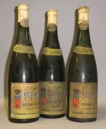 3 Bouteilles VIN D'ANJOU 