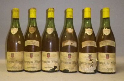 6 Bouteilles BOURGOGNE ALIGOTE 1959 - Louis...