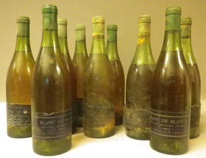12 Bouteilles BOURGOGNE 