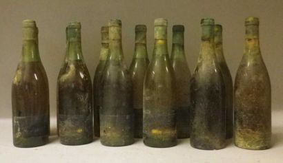 12 Bouteilles BOURGOGNE 