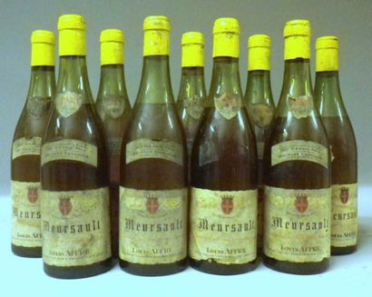 9 Bouteilles MEURSAULT 1953 - Louis Affre...