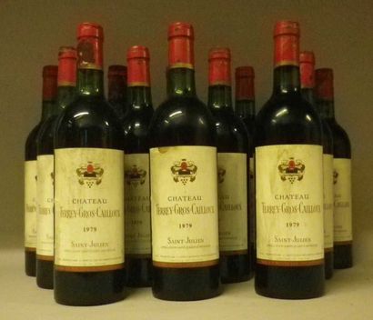 12 Bouteilles CHÂTEAU TERREY GROS CAILLOU...