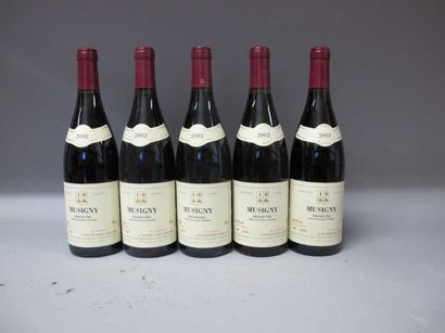 5 Bouteilles MUSIGNY 2002 - J. D'Issonco...