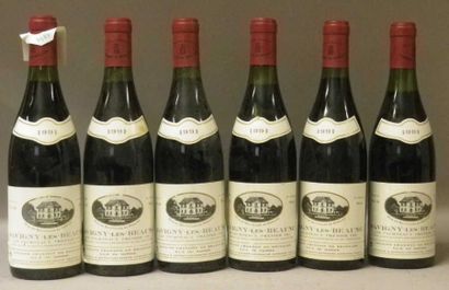 6 Bouteilles SAVIGNY LES BEAUNE 