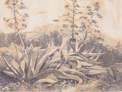Jules COIGNET (1798-1860). Paysages aux cactus....