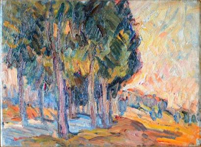 Marcel ARNAUD (1877-1956) Route des Alpes...