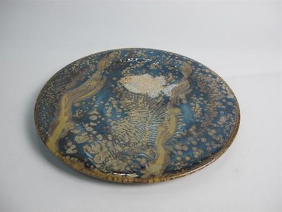 François DEBIEN (né en 1959). Assiette en...