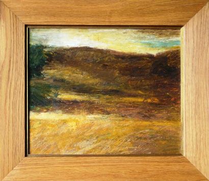 Mathieu WEEMAELS (né en 1967) Paysage Pastel...